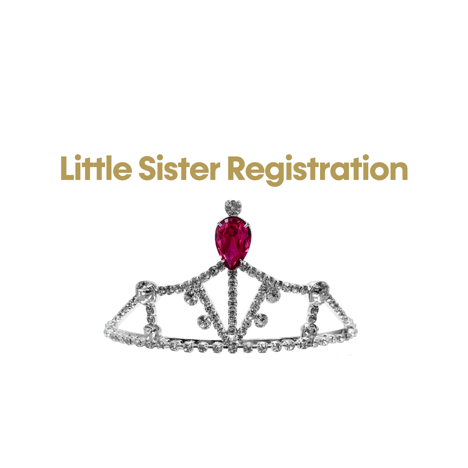 Little Sister Registration